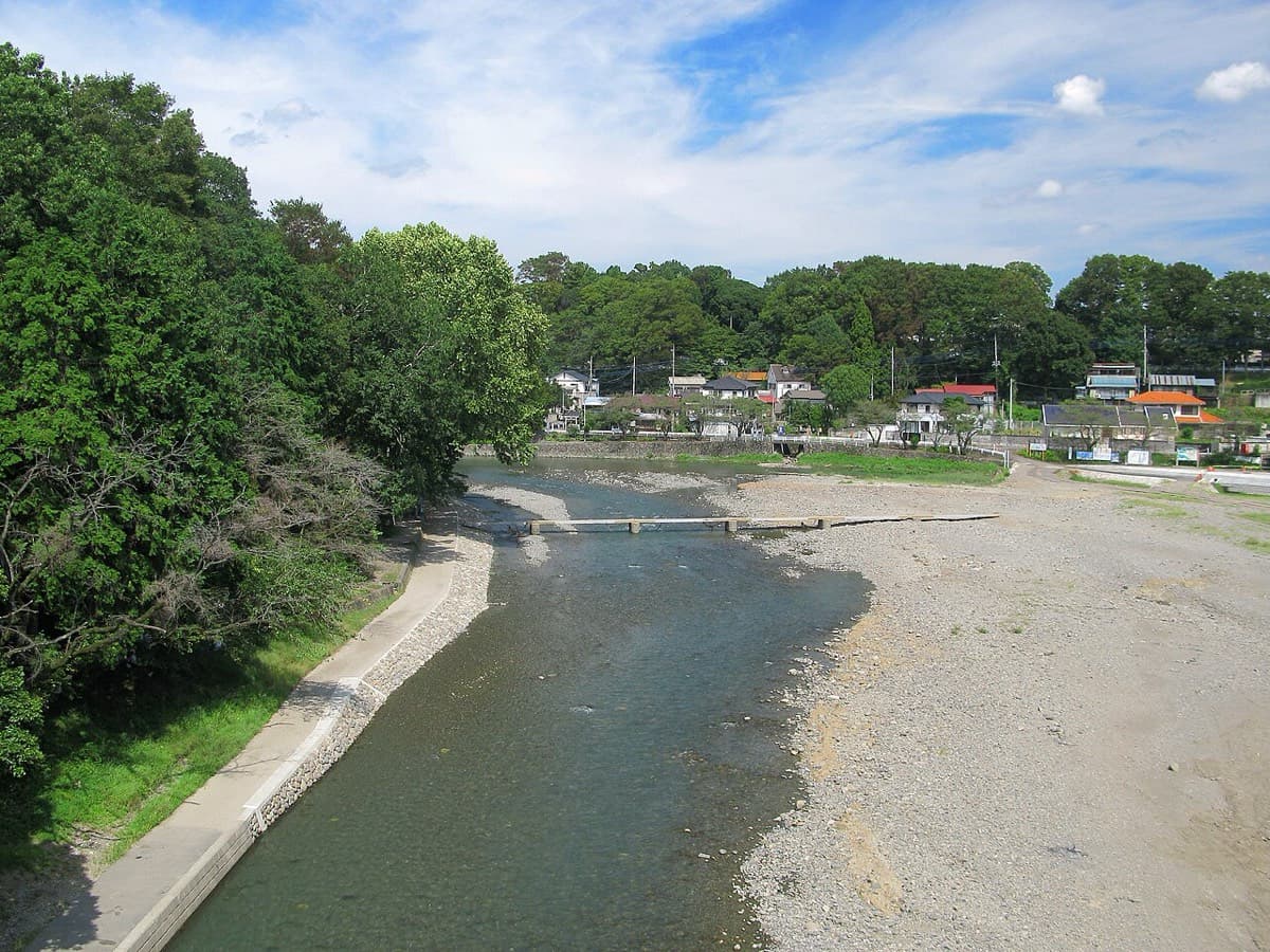 江戸の町は、なぜ飯能の木で建てられたのか