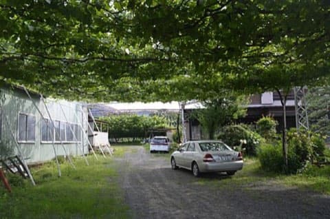 ぶどう畑の小道