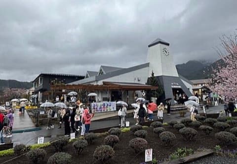 大石公園(河口湖北岸)